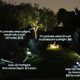 Illustration for article titled Lighting the Yard